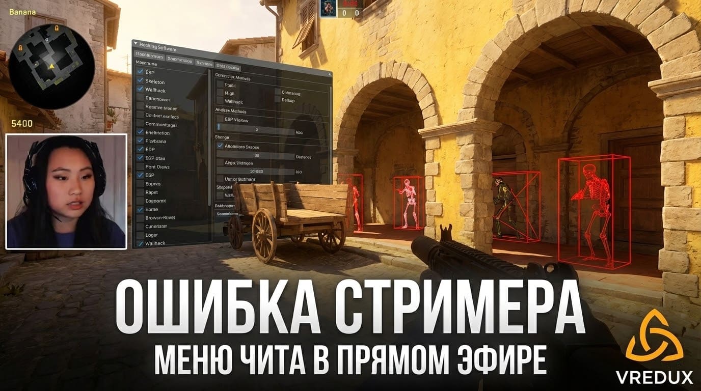 стримеры играющие с читами